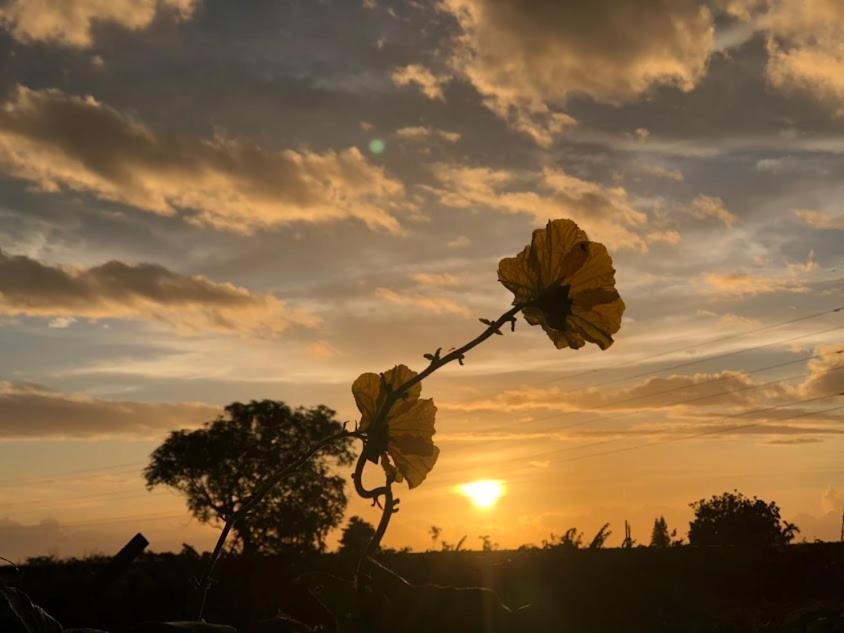 Canaan Beauty Farm B&B Chenggong Dış mekan fotoğraf